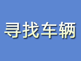 田林寻找车辆