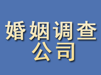 田林婚姻调查公司