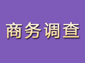 田林商务调查