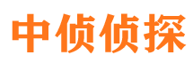 田林市场调查